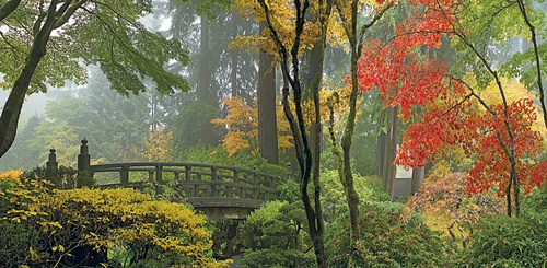 tuinposter Japanse brug panorama