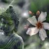 schuttingposter boeddha bloemen
