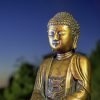 Gouden boeddha blauw en groene achtergrond