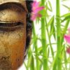 schuttingposter boeddha bamboe en roze bloemen