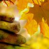 Boeddha poster opgestapelde stenen herfstbladeren