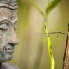 Boeddha poster bamboe achtergrond