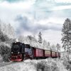 Rijdende trein winterlandschap