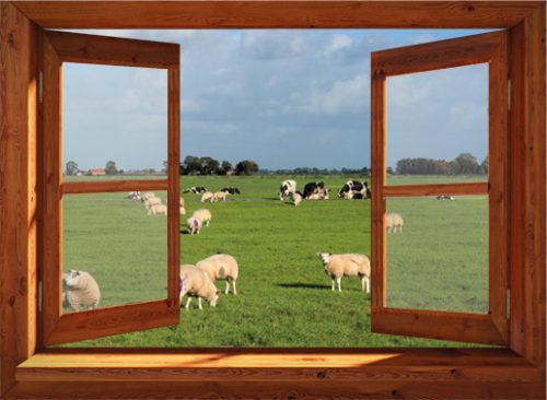 Super Tuinposter open raam met koeien en schapen Schuttingposter EL-32