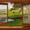 Openslaand bruin venster: Koeien in weiland